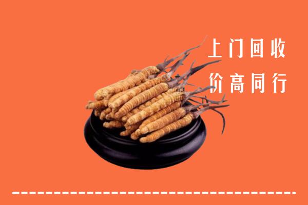 重庆大渡口区高价冬虫夏草回收多少钱每克
