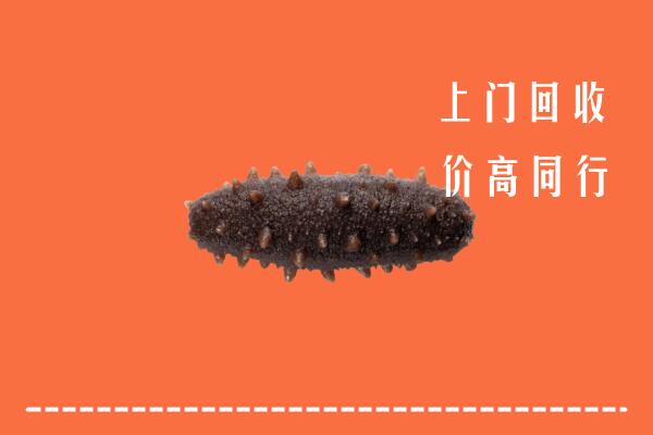 重庆大渡口区回收海参