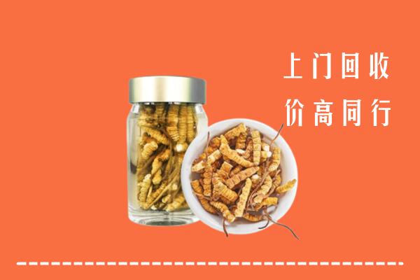 重庆大渡口区回收冬虫夏草