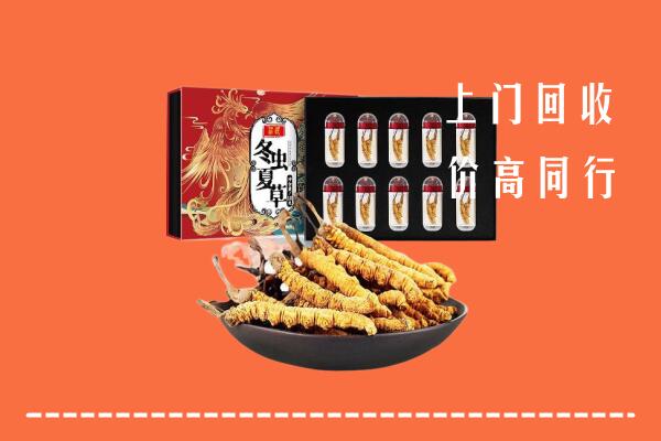 重庆大渡口区回收虫草